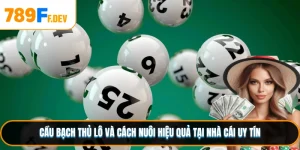 Cầu Bạch Thủ Lô