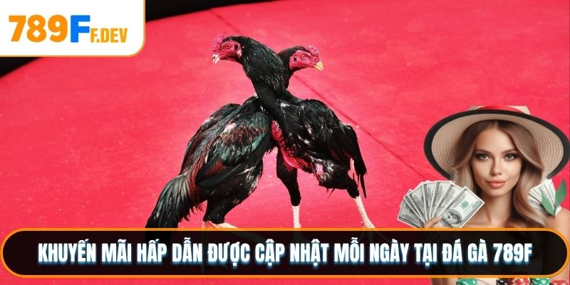 Khuyến mãi hấp dẫn được cập nhật mỗi ngày tại đá gà 789F