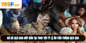 Đá Gà Cựa Dao