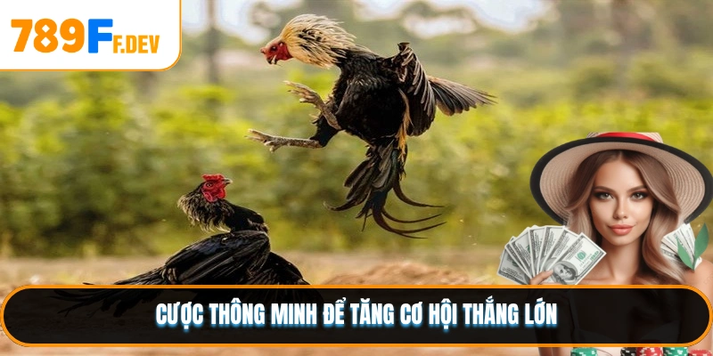 Cược thông minh để tăng cơ hội thắng lớn