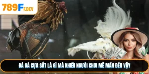 Đá gà cựa sắt