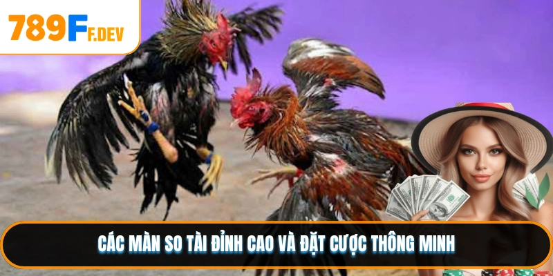 Các màn so tài đỉnh cao và đặt cược thông minh