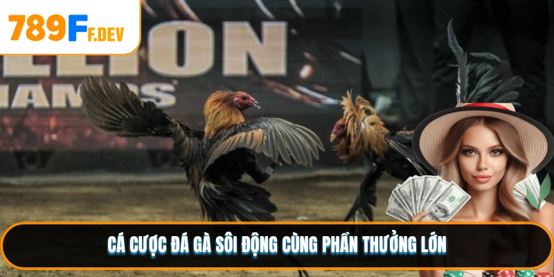 Cá cược đá gà sôi động cùng phần thưởng lớn