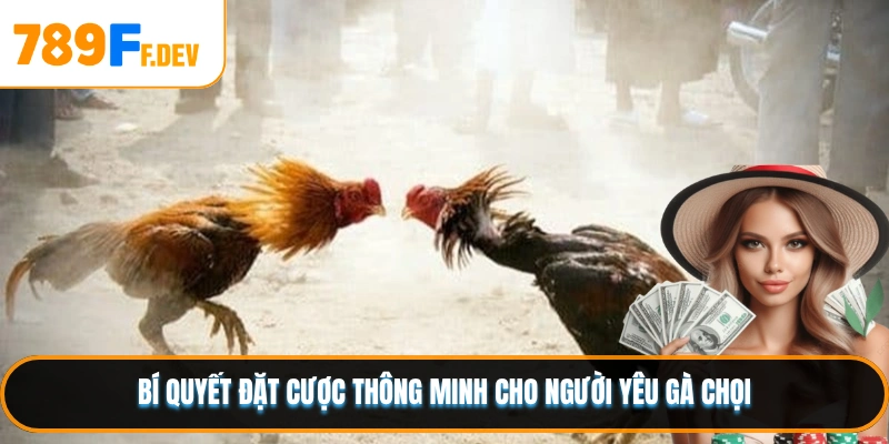 Bí quyết đặt cược thông minh cho người yêu gà chọi