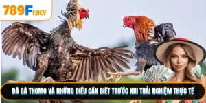 Đá Gà Thomo