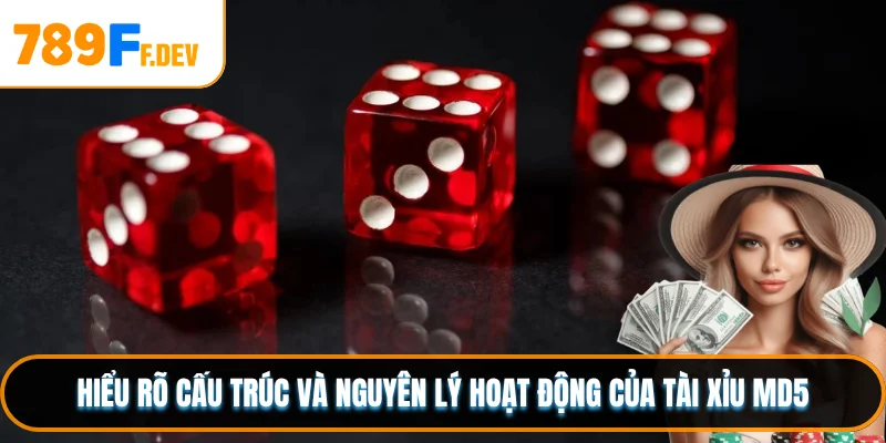 Hiểu rõ cấu trúc và nguyên lý hoạt động của Tài Xỉu MD5